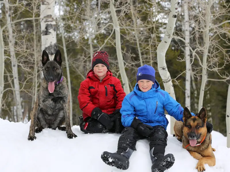 پسران دوقلو با سگ‌ها