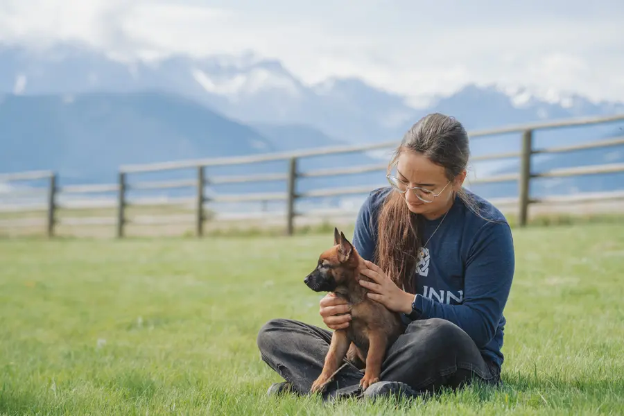 سگ سفالین در حال آموزش