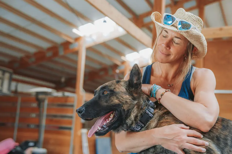 مالک سگ سفالین در حال نوازش سگ