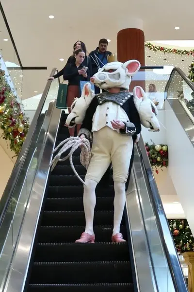 رقصی که در نقش پادشاه موش‌ها از باله «شکست‌اخته» لباس پوشیده، سر موشی تاج‌دار و کاپشن برش‌دار پیچیده دارد، در پله‌برقی فروشگاه South Coast Plaza که برای تعطیلات تزئین شده، پایین می‌آید