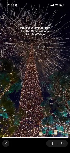 یک اسکرین‌شات از ویدیو در شبکه‌های اجتماعی که در آن درختان بسیاری با نورهای چشمک‌زن پوشیده‌اند. متن روی صفحه می‌گوید: «این یادآوری شماست که The Grove در ۷ روز آینده اینگونه خواهد بود»