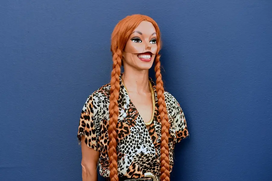 زنی با پوست روشن قهوهای و کلاهگیس بلند مایل به سرخ که به دو بافت تقسیم شده، ماسکی به رنگ قهوهای روشن با چشمهای بزرگ که بخش بالایی صورت او را میپوشاند، در بلوزی با طرح پلنگی در مقابل زمینهای به رنگ آبی خاکستری ایستاده است.