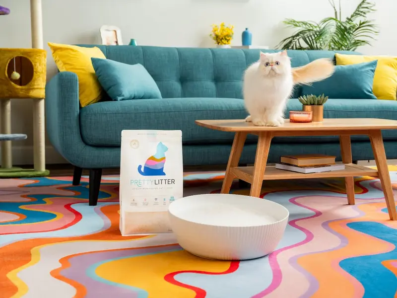 منبع تصویر: با مجوز از پریلیتر