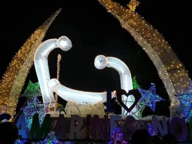 نمایش شبانه مجسمههای نورانی شامل سازههای بزرگ منحنی و یک شکل قلب، با کلمه «Camarines Norte» در زیر