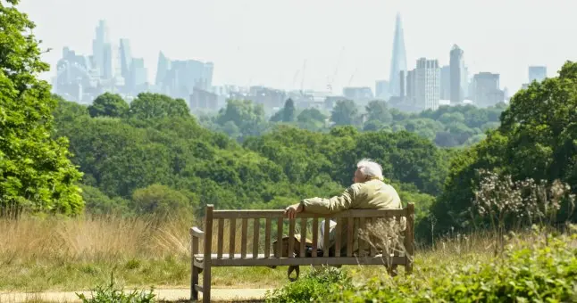 دیوید آتنبرگ