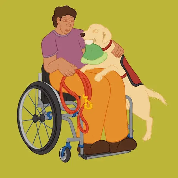 تصویری شبیه‌سازی شده از سگی زرد که جلیقه قرمز به تن دارد؛ دو پیش‌پاهای او بر روی ران‌های فردی در صندلی چرخ‌دار که قلادهٔ قرمز در دست دارد، قرار گرفته است. سگ کلاه سبزی را در دهان خود دارد، انگار می‌خواهد آن را به او بدهد.