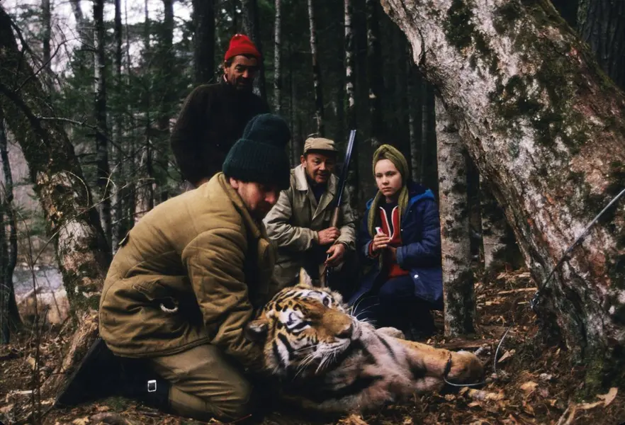 با تمرکز بر آنچه نویسنده جاناتان اسلگت بهعنوان طولانیترین برنامهٔ تحقیقاتی ببر جهان توصیف میکند — پروژه ببر سیبری — کتاب خوانندگان را به اعماق تایاگاهای روسیه میبرد، جایی که دانشمندان آمریکایی با محافظان روسی همکاری کردند تا ببرها را قلاده و ردیابی کنند. در این عکس، تیم شکار (متشکل از نیکولای ریبین در پیشزمینه، ژنیا اسمیرنوو با کلاه سرخ، ایگور نیکولایف با شلیکتفنگ و یکتری نیکولایوا) در حال آزاد کردن ماریای ایوانووا، یک ببر ماده بالغ که به نام زنی که به «مادر روسی سرپرست» میکوله در ترنی تبدیل شد، نامگذاری شده است.